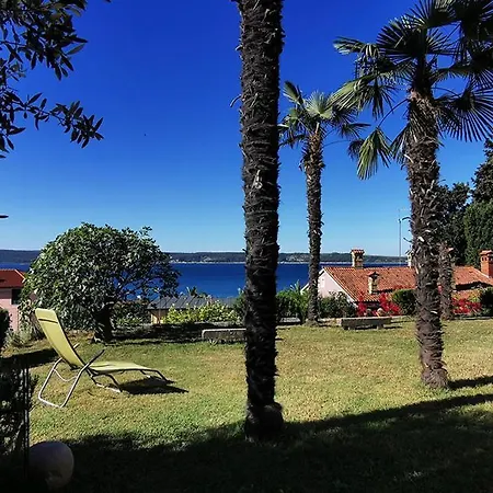 Nea Apartament