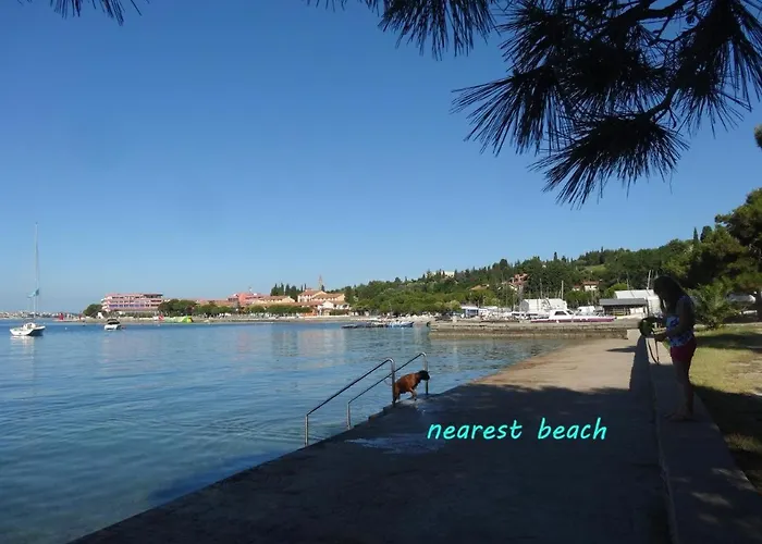 Nea By Locap Group *